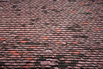missing roof shingles needing repair, Dowell Roofing, Murfreesboro Roofers
