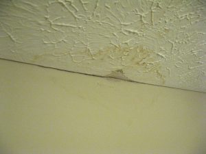 Water Stain on a Ceiling