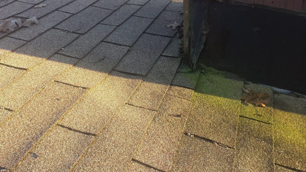 moss growing on roof, Dowell Roofing, Murfreesboro Roofers
