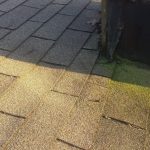 moss growing on roof, Dowell Roofing, Murfreesboro Roofers
